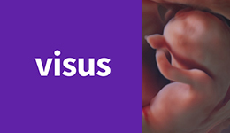 VISUS Course 2025